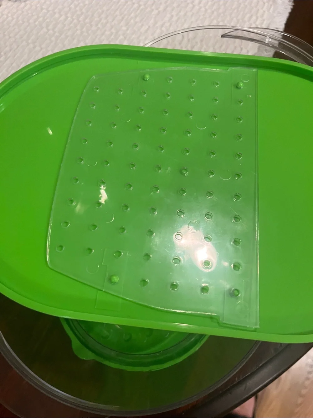 Green Produce Storage Container with Adjustable vent